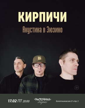 Кирпичи