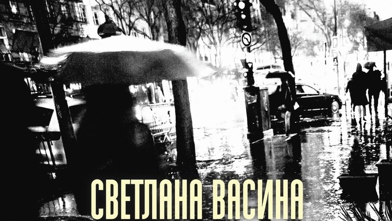 Светлана Васина